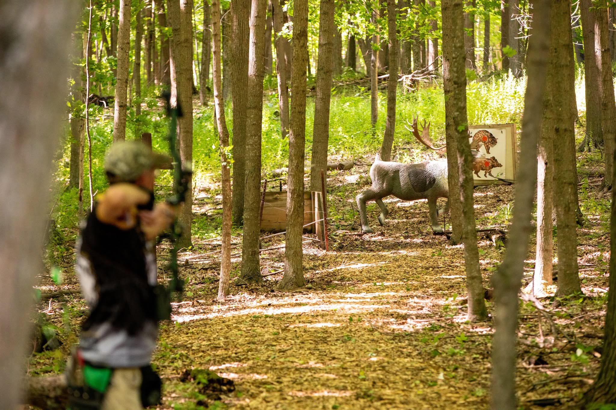 Archer at full draw during outdoor training